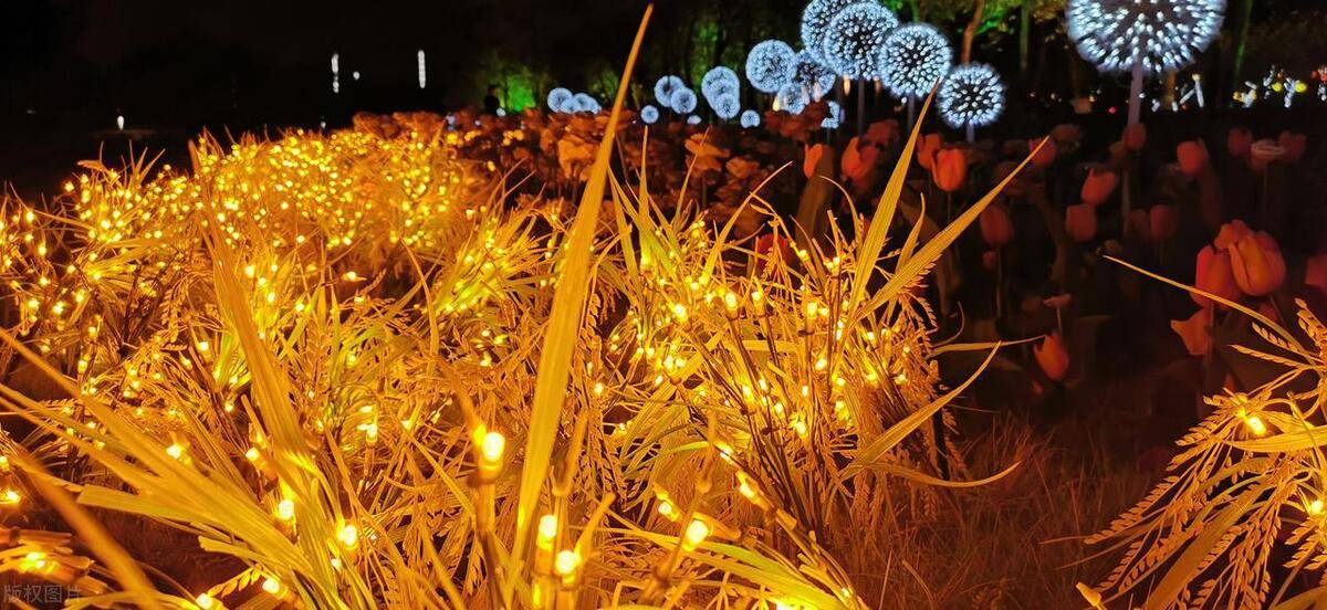 营灯串的防水性能与户外安全性澳门新葡京LED幻彩皮线露